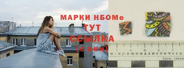 индика Богородицк